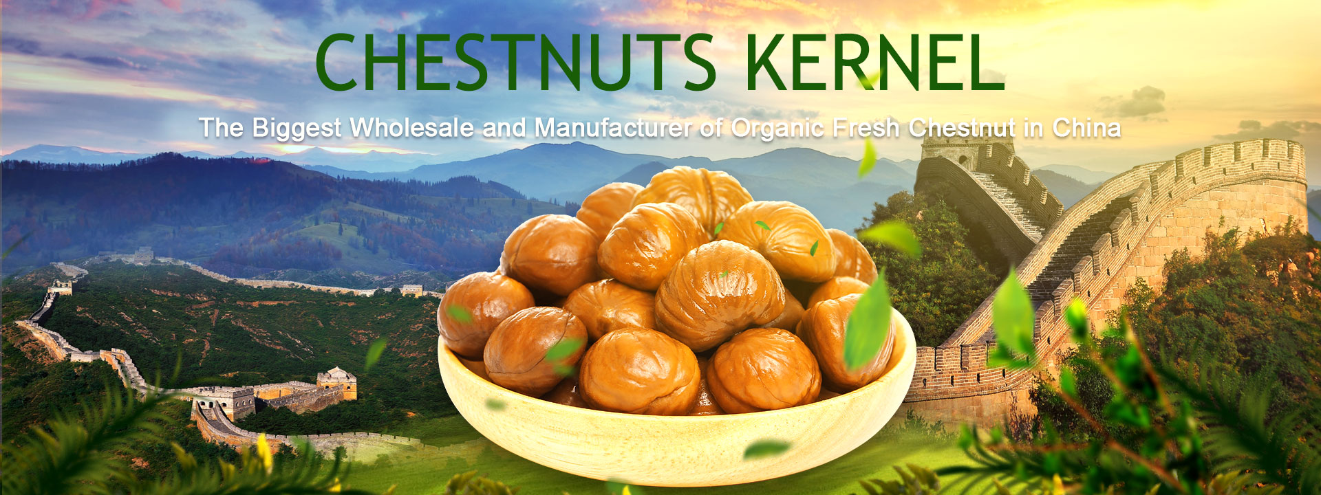 Chestnut kernel